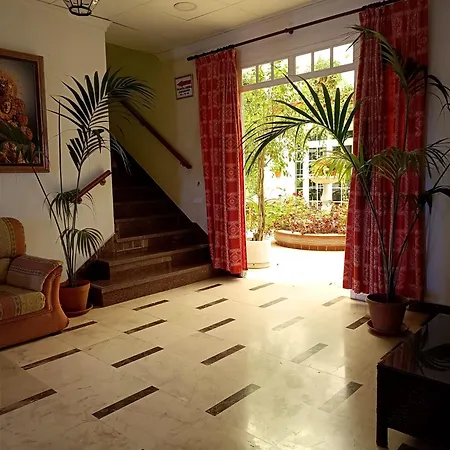 El Lirio Bollullos Par del Condado